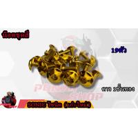 ราคา น็อตชุดสี SONIC โซนิค 1ชุด 19 ตัว น็อตชุดสีโซนิค น็อตเฟรมโซนิค น็อตชุดสีโซนิค อะไหล่แต่งรถมอเตอร์ไซต์ (16755607209)