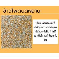 ราคา เมล็ดข้าวโพดแห้งบดหยาบ ข้าวโพดเมล็ดแบบเกล็ด คัดเกรด ปลอดสารพิษ แบ่งบรรจุ 300g 500g 1kg พร้อมส่ง (21826849114)