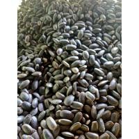 ราคา เม็ดเหรียงขลิบหัวเเล้ว 1 กิโล220 (21470417913)