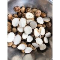 ราคา เห็ดเผาะต้มเกลืออ่อนๆๆ500กรัม (16527364050)