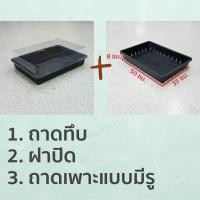 ราคา ถาดเพาะต้นอ่อน ถาดไดโซะ ถาดเพาะแคคตัส พร้อมฝาปิด ไดโซะจิ๋ว ถาดเพาะเมล็ด ถาดไดโซะ ถาดเพาะแคคตัส พร้อมฝาครอบ ถาดเพาะกล้า (7725444225)