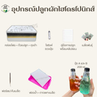 ราคา ชุดพร้อมปลูกผักสลัด ผักไฮโดรโปนิกส์ พร้อมปุ๋ยเเละเมล็ดผัก 3 ชนิด (21799638796)