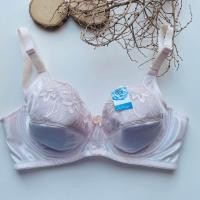 ราคา Jintana จินตนา เสื้อชั้นใน เสริมโครง รุ่น Basic Bra รหัส JB2836 สีชมพู (21936372561)