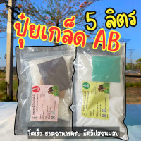 ราคา ปุ๋ย AB ปุ๋ยไฮโดรโปนิกส์ ปุ๋ยเอบี ขนาด 5 ลิตร ปุ๋ยผักสลัด ใช้ได้ทั้งระบบน้ำนิ่ง และ น้ำวน (21176711962)