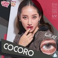 ราคา คอนแทคเลนส์ ตาโต รุ่น Cocoro สีเทา ตาล gray brown มีค่าสายตาปกติ 0 00 (16235136374)