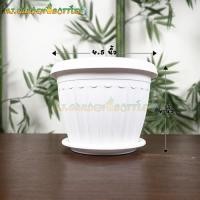 ราคา ซื้อ 1 แถม 1 ใหม่ล่าสุดพร้อมถาดรอง กระถางต้นไม้สีขาวเกรดเอ ทรงโรมัน พร้อมจานรอง มี 11 ขนาด กระถางต้นไม้พลาสติกพร้อมจานรอง สีมินิมอล (11631877405)