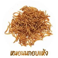 ราคา ขนมหนูแฮมเตอร์ โลโบ ใจแอ้นท์ วินเทอร์ไวท์ แคมเบล หนูอื่นๆ สัตว์เล็กทุกสายพันธ์ (20113262996)