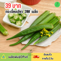 ราคา กระเจี๊ยบเขียว 200 เมล็ด (21812888366)