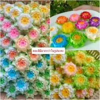 ราคา เหรียญโปรยทาน ดอกบัวดาว ตัวเปล่า (21805979535)