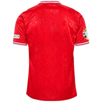 ราคา Denmark เสื้อฟุตบอลเดนมาร์ก เหย้า ยูฟ่า ยูโร UEFA Euro 2024 25 เสื้อฟุตบอลชาย (21888044320)