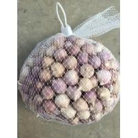 ราคา กระเทียมโทนขนาดใหญ่ คัดคุณภาพ ลูกใหญ่ คัดพิเศษ ขายดีที่สุด 1 กก ราคา ส่ง ถูกที่สุด (21689755521)