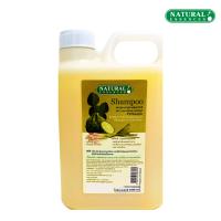 ราคา แชมพูสมุนไพร มะกรูดผสมตะไคร้ Natural Essences แชมพูแก้ผมร่วง ให้ผมนุ่ม ลดผมร่วง ป้องกันผมแตกปลาย สำหรับผมมัน 1000 ML (21988569707)
