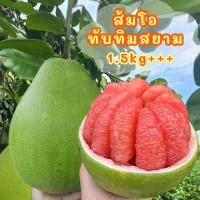 ราคา พร้อมส่ง 1ลูก 1 2kg ส้มโอทับทิมสยาม จากปากพนังแท้ (21438216071)