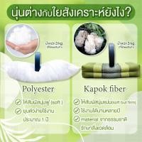 ราคา หมอนขิดสุขภาพ ใยนุ่นแแท้ Kapok fiber ดีไซน์เพื่อสุขภาพนอนสบายขึ้น พื้นเมืองอีสาน หมอนสุขภาพ หมอนขิต หมอนหนุน (20049788823)