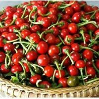 ราคา เมล็ดพันธุ์พริกตุ้ม (11394657315)