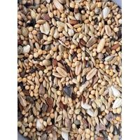 ราคา Farmland Parrotlet Forpus อาหารธัญพืชรวมสำหรับนกฟอพัส และนกขนาดเล็ก แบ่งขาย 500 1000กรัม (21152547633)
