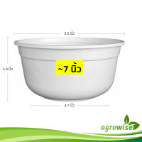ราคา กระถาง กระถางทรงถ้วย ขนาด 6 นิ้ว สีดำ สีขาว สีอิฐ (21399407727)