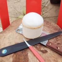 ราคา มีดเขาควาย คว้านมะพร้าวตรามะพร้าวคู่ 13นิ้ว1เล่ม (16058691975)