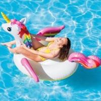 ราคา แพเป่าลม แพยางแฟนซี แพเป็ด ขนาด1 47ม 1 47ม 81ซม แพยางลอยน้ำ แพสับปะรด แพโพนี่ (20570357627)