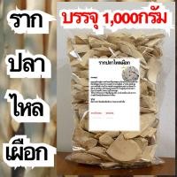 ราคา รากปลาไหลเผือก รากปลาไหลเผือกแห้ง สมุนไพรรากปลาไหลเผือก สมุนไพรรากปลาไหลเผือกแห้ง (21820721003)