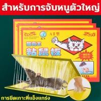 ราคา หนูสัมผัสแล้วก็หนีไม่พ้น กาวดักหนู กาวดักหนูใหญ่ กาวดัหหนู กาวดักหนูุ 10 แผ่น ล่อหนูเก่ง เหนียวพิเศษ จับหนูได้ง่าย ปลอดสารพิษ ปลอดภัยต่อคน เหมาะสำหรับหลายสถานที่ ที่ดักหนู ดักหนู กาวติดหนู กาวดักหนู (