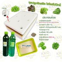 ราคา ชุดทดลองปลูกผักไทยและผักสลัด ไฮโดรโปนิกส์ และอุปกรณ์ยกชุด (22032491329)