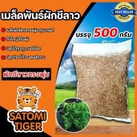 ราคา เมล็ดผักชีลาว ทรงพุ่ม หนัก 500กรัม เมล็ดพันธุ์ผักชีลาว เมล็ดพันธุ์ผัก เมล็ดสมบรูณ์ โตง่าย โตเร็ว ผลผลิตงาม (18688579470)
