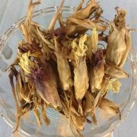 ราคา ดอกว่านดอกทอง เมีย Elettariopsis ว่านดอกทอง ว่านราคะ ว่านมหาเสนห์ ที่สุดแห่งว่านมหาเสน่ห์ สรรพคุณเมตตามหานิยม และมหาเสน่ห์ แบบแห้ง ใช้บูชา พกติดตัว ผ่านการทำพิธีแล้ว จัดส่งพร้อมคาถา (20968375860)