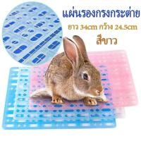 ราคา พลาสติกรองกรงสัตว์เลี้ยง แผ่นรองกรงกระต่าย แผ่นรองกรง แผ่นรองฉี่ แฮมเตอร์ กระต่าย สีขาว (14860043646)