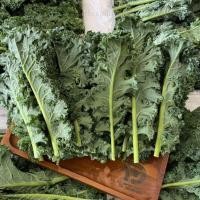 ราคา พร้อมส่ง 500g 1000g ผักเคลใบหยิก ผักเคลสด คะน้าใบหยิก (21800098108)