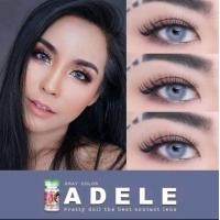 ราคา คอนแทคเลนส์ สายฝอ รุ่น Mini Adele สีเทา เขียว gray green มีค่าสายตา 0 00 6 00 เปลี่ยนแทนทุกเดือน (16836751996)