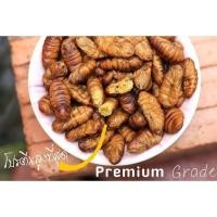 ราคา คุณหนู Khunnoo 45 กรัม จิ้งหรีด สะดิ้ง หนอนไหม หนอนนก (20539523487)