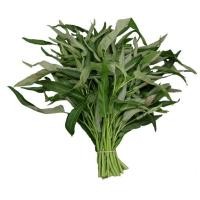 ราคา 400 เมล็ด ผักบุ้งจีน ปลูกง่าย อายุเก็บเกี่ยวสั้น ปลูกในน้ำได้ Chinese Convolvulus Seeds (21580724229)