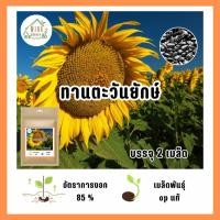 ราคา เมล็ดพันธุ์ทานตะวันยักษ์ บรรจุ 2 เมล็ด (21036623818)