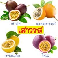 ราคา เสาวรส รวมทุกสายพันธุ์ ถูกที่สุด10บ เมล็ดพันธุ์เสาวรส 5 20เมล็ด ปลูกง่าย ทนร้อน ผลดก (22034966514)