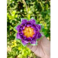 ราคา เหรียญโปรยทาน ดอกบัวดาว ตัวเปล่า (21805979527)