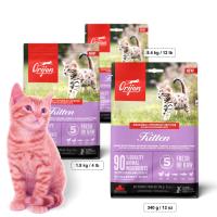 ราคา สูตรใหม่ ORIJEN Kitten Cat Food สูตรสำหรับแมวอายุ 2เดือน หรือหย่านมเป็นต้นไป ขนาด 340g 1 8kg 5 4kg (18635761249)