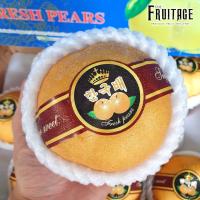 ราคา สาลี่หิมะ สาลี่เกาหลี 6ลูก ไซส์L CHN ลดพิเศษ Premium Korean Pears หอม หวาน อร่อย Fruitage ผลไม้สด ผลไม้นอก นำเข้า ต่างประเทศ ผลไม้พรีเมี่ยม (6553984595)