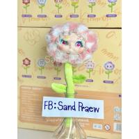 ราคา ดอกไม้ V5 Kimmon ส่งทันทีอย่ารอ V5 Kimmon (21849599893)