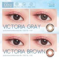 ราคา คอนแทคเลนส์ Angelzone รุ่น Victoria brown สีน้ำตาล คอนแทคเลนส์รายเดือน ขนาดเท่าตา angel zone (10920403742)