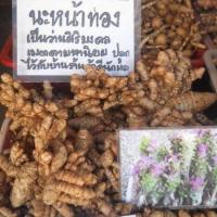 ราคา 3 เหง้า ว่านนะหน้าทอง มีอานุภาพทางเมตตามหานิยมโบราณใช้โขลกตำผสมกับสีผึ้งทาปาก เพื่อไปติดต่อเจรจาค้าขาย จะเป็นที่เมตตาและสำเร็จตามปรารถนา พร้อมปลูก หัวสด (21008481863)