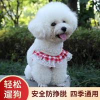 ราคา สายจูงหมาลายลูกไม้ สายจูงสัตว์เลี้ยง สายจูงสุนัข แมว สายจูงหมา สายรัดอกสุนัข สายจูง สายจูงแมวและสุนัข (18226196574)
