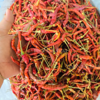 ราคา พริกแห้งยอดสน มีก้าน 500 กรัม เม็ดเล็ก กลิ่นหอม เผ็ดน้อย (22001597530)