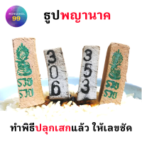 ราคา 3หลัก ธูปพญานาค 10 50 แท่ง ทำพิธีปลุกเสกแล้ว ธูปขอหวยธูป ธูปเสี่ยงโชค ธูปตัวเลข ธูปใบ้หวย หวยแม่นๆ (21856209769)