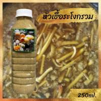 ราคา เชื้อเห็ดระโงกเหลือง เชื้อใหม่เข้มข้น เชื้อเห็ดป่า ขวด600ml เชื้อสด พร้อมวิธีปลูก (22042965962)