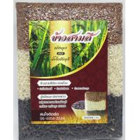 ราคา ข้าวสามสี สังข์หยดไรซ์เบอร์รี่หอมปทุมแบบกล้อง ข้าวใหม่ๆจากพัทลุง100 ปลอดสาร100 (4976650789)