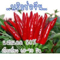 ราคา เมล็ด พันธุ์ พริกช่อจีน สีแดง 30 เมล็ด (21956404365)