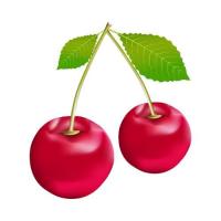 ราคา ตัวรีดติดเสื้อลายเชอรีเชอรี่ สวยๆ 4289 ลูกเชอรี่ เชอรี่สีแดงสด สวยๆ รีดติดง่ายทุกเนื้อผ้า (21636369572)