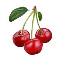 ราคา ตัวรีดติดเสื้อลายเชอรีเชอรี่ สวยๆ 4289 ลูกเชอรี่ เชอรี่สีแดงสด สวยๆ รีดติดง่ายทุกเนื้อผ้า (21636369551)