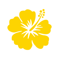 ราคา ตัวรีดติดเสื้อดอกชบา ลายใหม่ สวยๆ FP 02 รีดติดง่ายทุกเนื้อผ้า (21993657842)